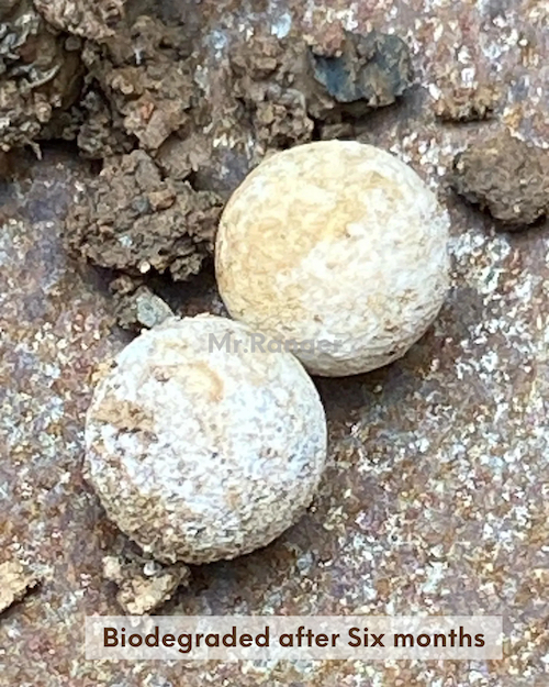 Biodegradable PLA Airsoft BBs degrading in soil - TUV Certified Eco Friendly